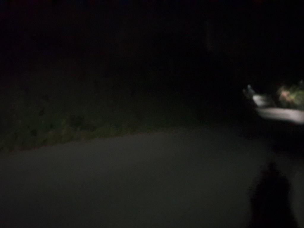 Nočno razgrajanje v lokalu