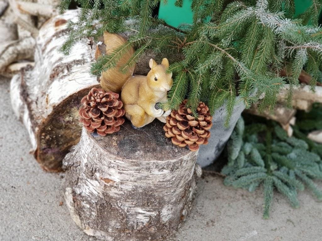 FOTO: Gozdne živali so se "utaborile" kar na ulici