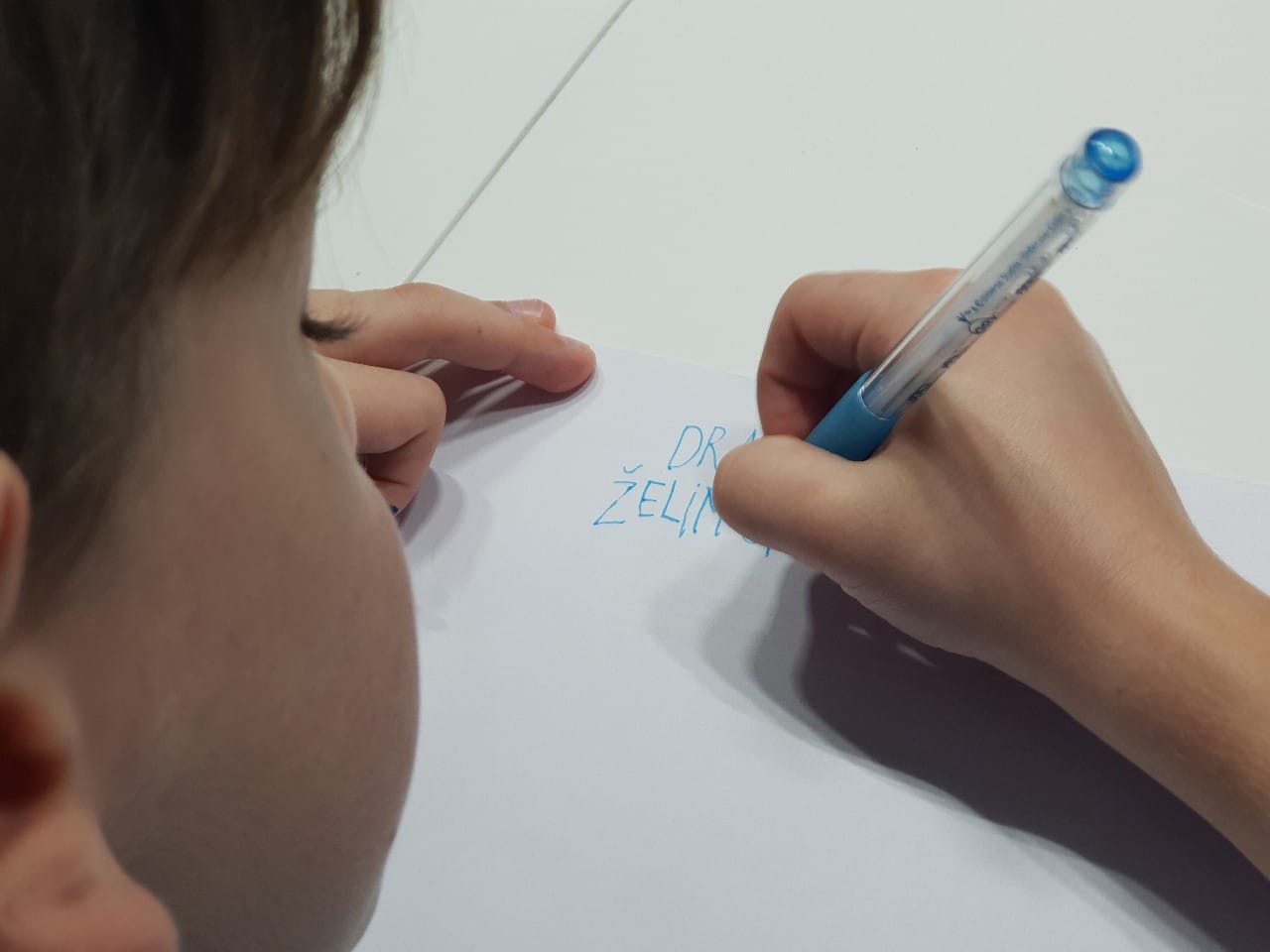 ČAROBNO: Dobra vila bo želje obesila na posebno drevo