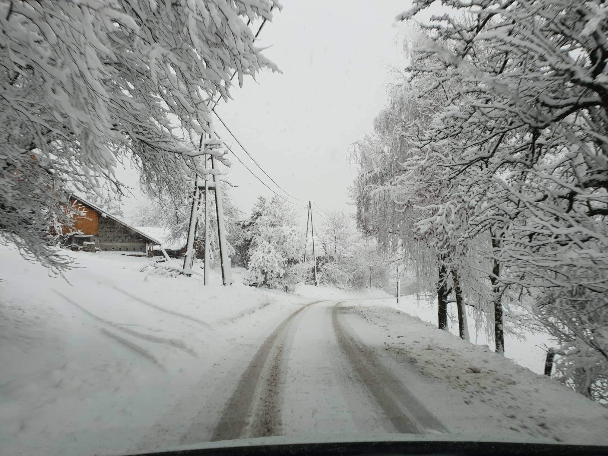 FOTO : Pa smo ga dočakali!