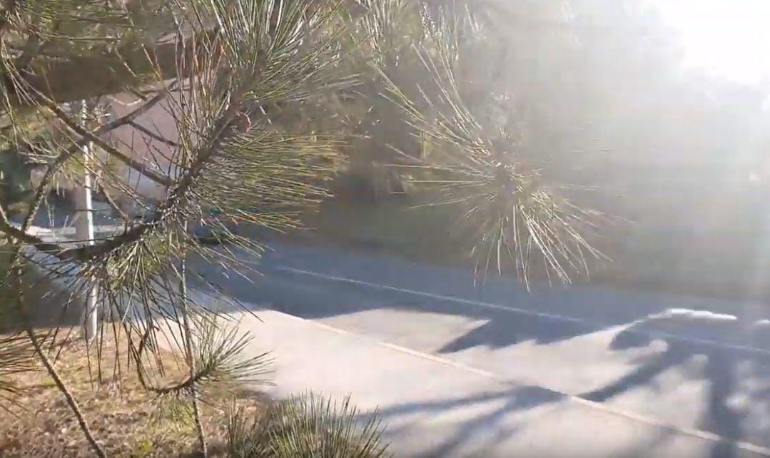 VIDEO: Hrastnik na en lep sončen dan!
