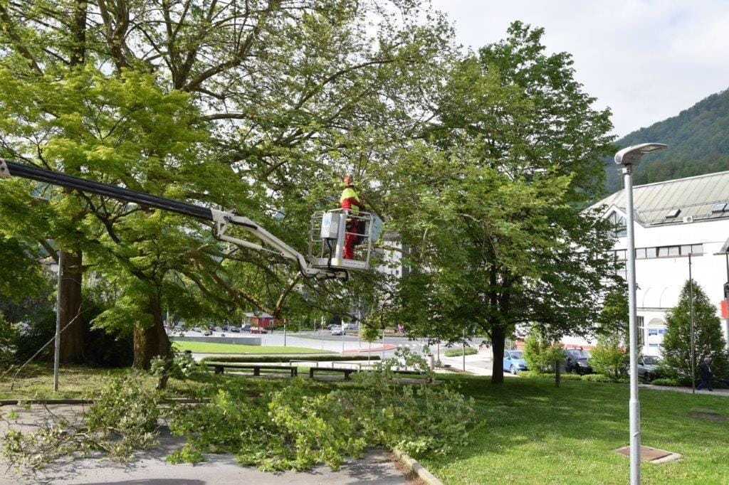 Alpinisti v zagorskem gaju