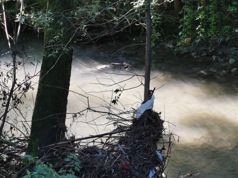 Potok Medija (2) Zaradi onesnaženega potoka poklicali policijo