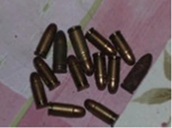 V hišni preiskavi zasegli orožje in strelivo