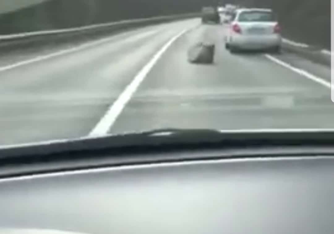 POZOR: Skala na zasavki!