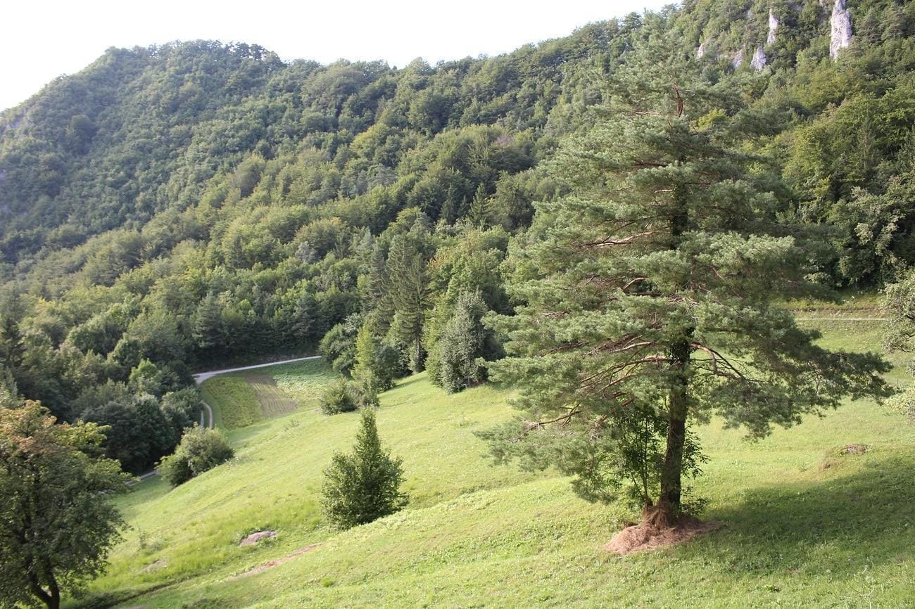 Za kmetovalce hrastniškega območja na voljo 19 tisočakov