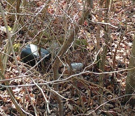 FOTO: Sredi gozda kup sveč, plastenk ...desetletje je tam celo del avtomobila