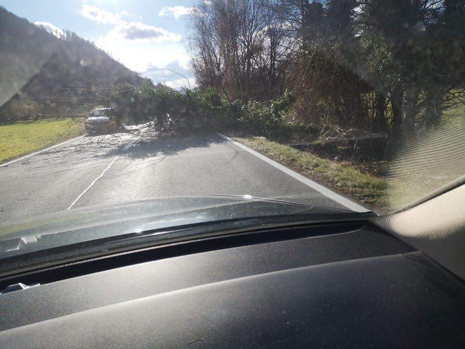 FOTO: Podrta drevesa tudi na cesti za Savo