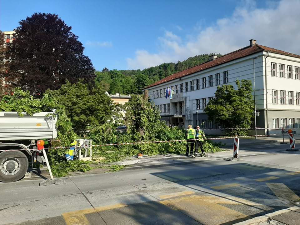 FOTO: Lipi sta padli, občani (spet) razburjeni