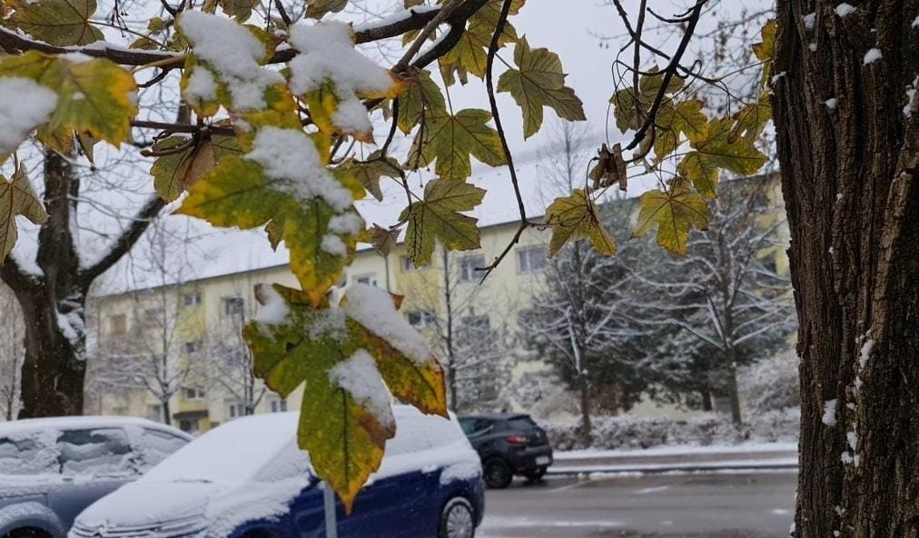 VIDEO: Prvi sneg v zasavskih mestih, juhuuuuu!