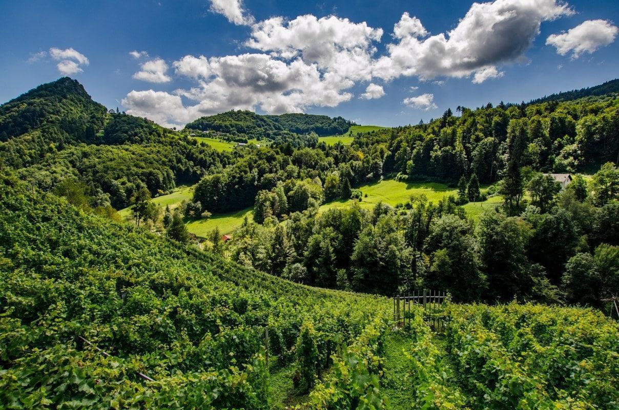Imamo ljudi, ki znajo narediti zgodbo in tej vdihniti dušo