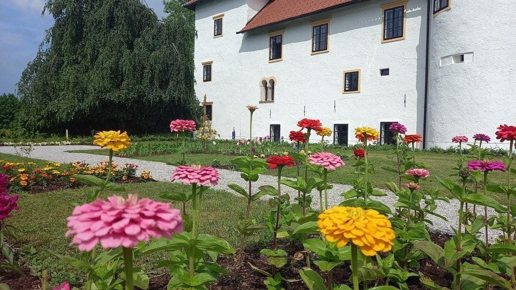 Cvetoča pot in grajska čokoladnica na Bogenšperku