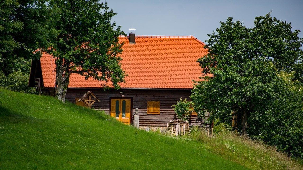 Sredi neokrnjene narave nad Radečami prihodnji teden gozdna terapija