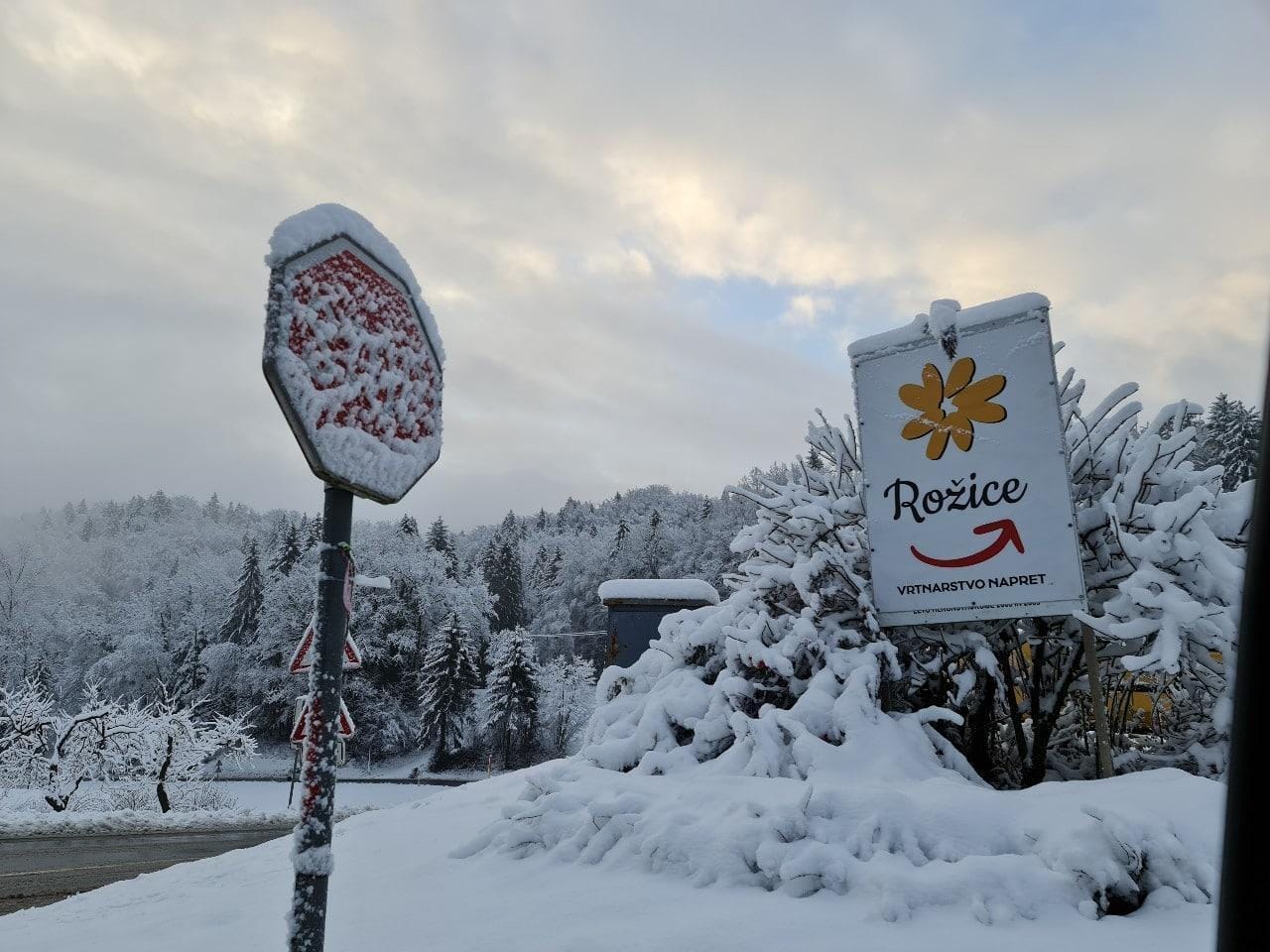 FOTO: V petek le za vzorec, danes belo do nižin