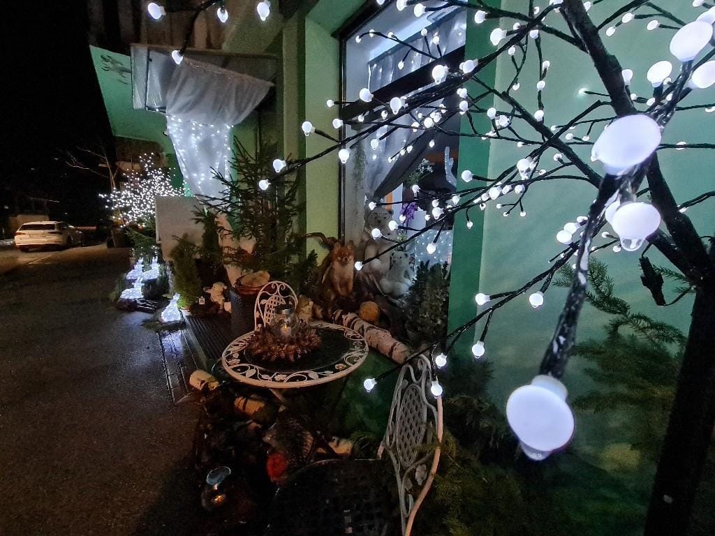 FOTO: Čisto prava mala čarobna dežela, ki si jo lahko ogleda vsak