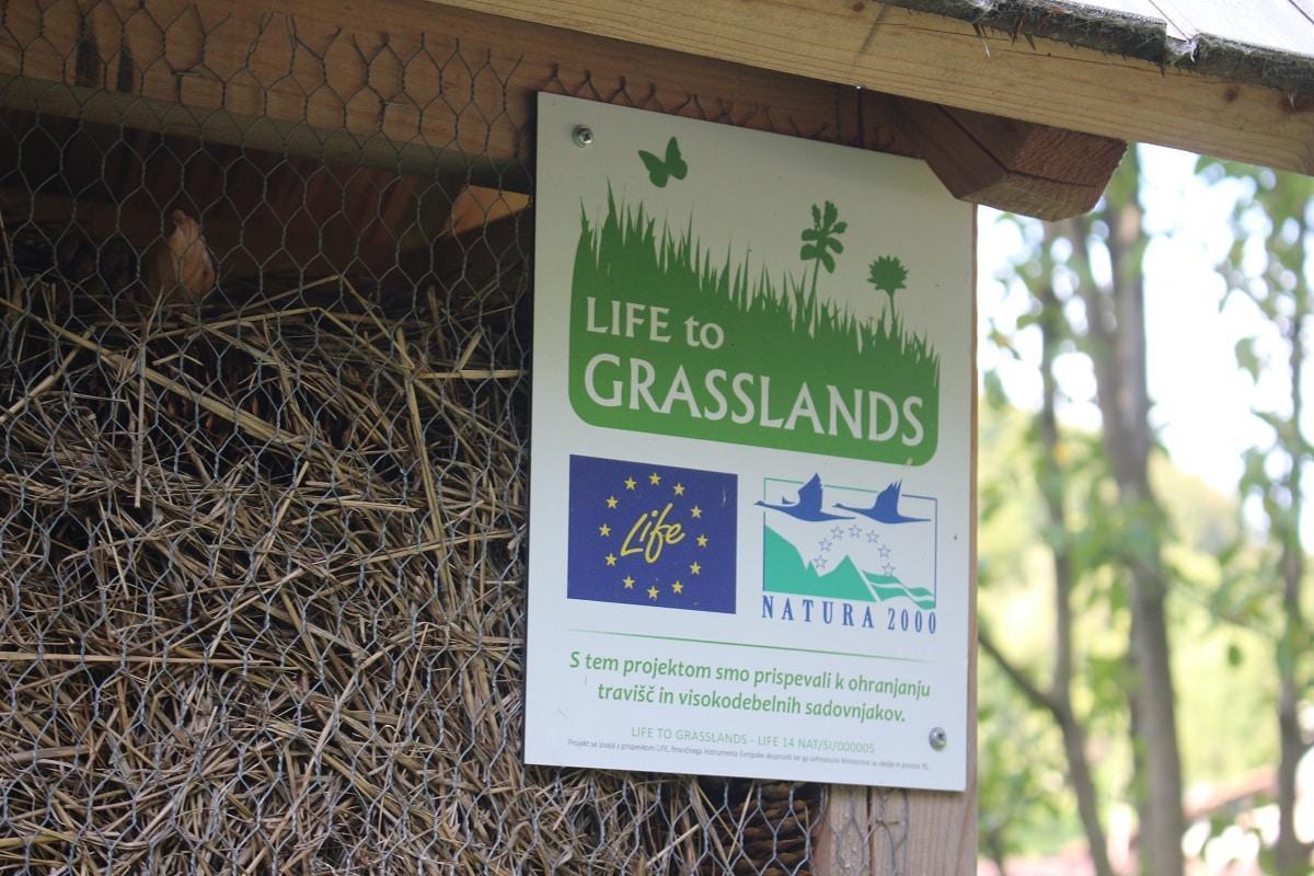 Mrzlica, Kum, Kopitnik, pa Čemšeniška, Čatež pod posebna območja