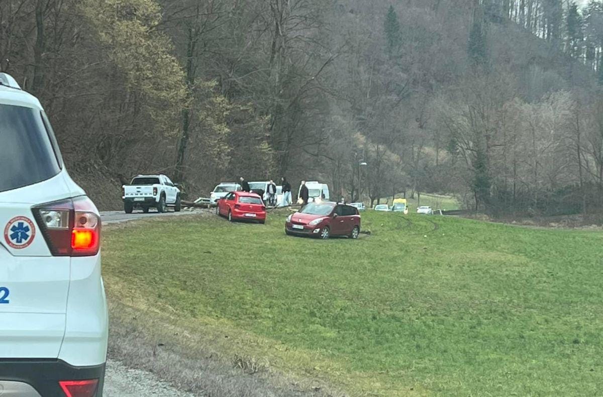 Še ena prometna: Padlo drevo med Kisovcem in Izlakami