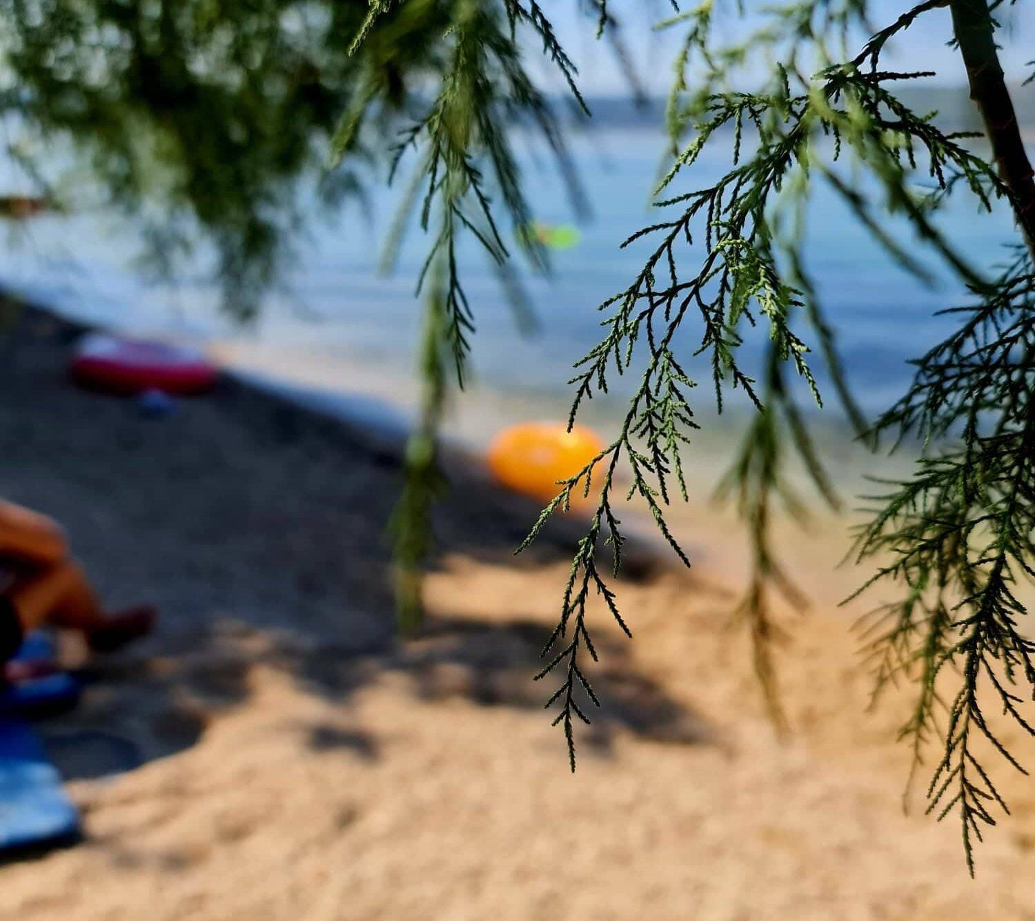 ANKETA: Kje letos dopustujete Zasavci?