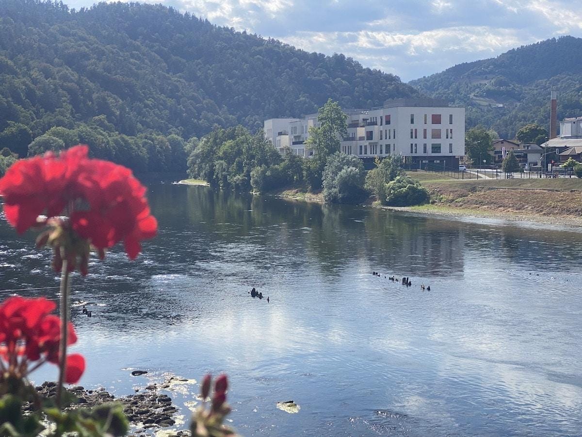 Sava še nikoli ni bila tako nizka: V Litiji spet lahko vidite ostanke starega lesenega mostu