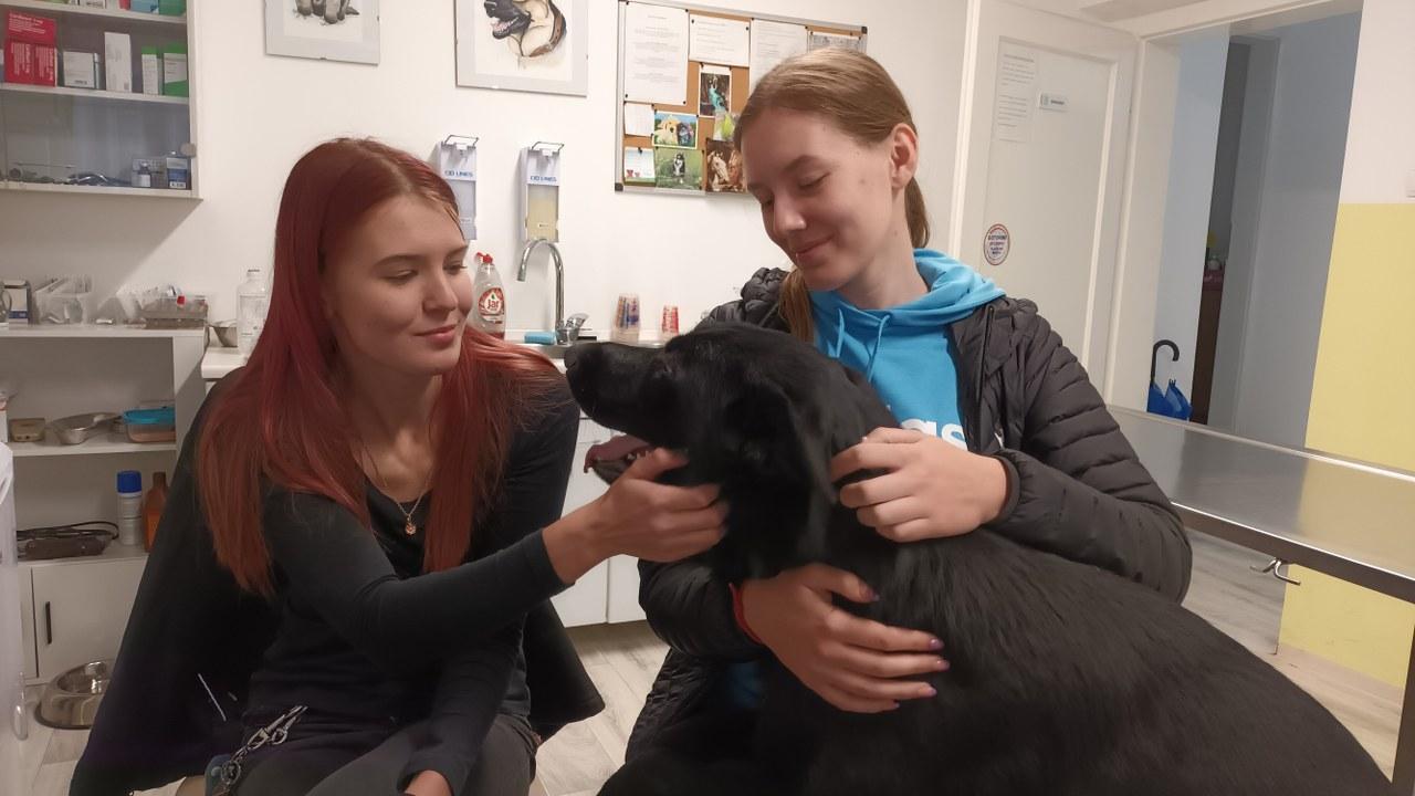 V Zasavju gimnazijci spoznavajo poklice na delovnem mestu