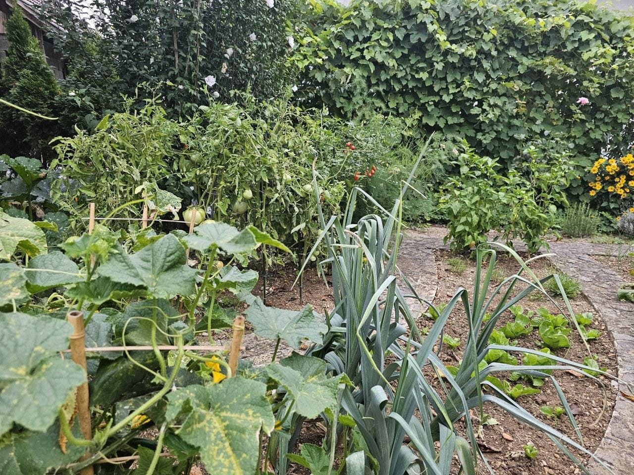 Ste si že uredili najemno pogodbo za svoj vrt?