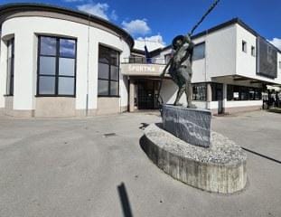 Kdo bo po novem skrbel za zapuščene živali v občini?