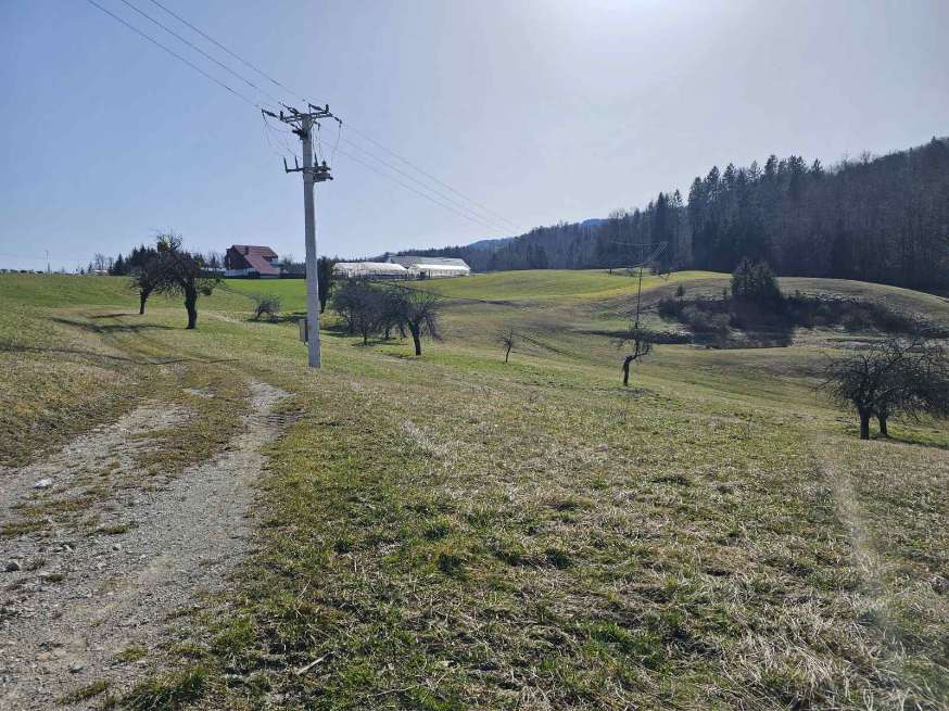 Kako to, da je Tone iz Marnega rekel DA optičnemu omrežju?