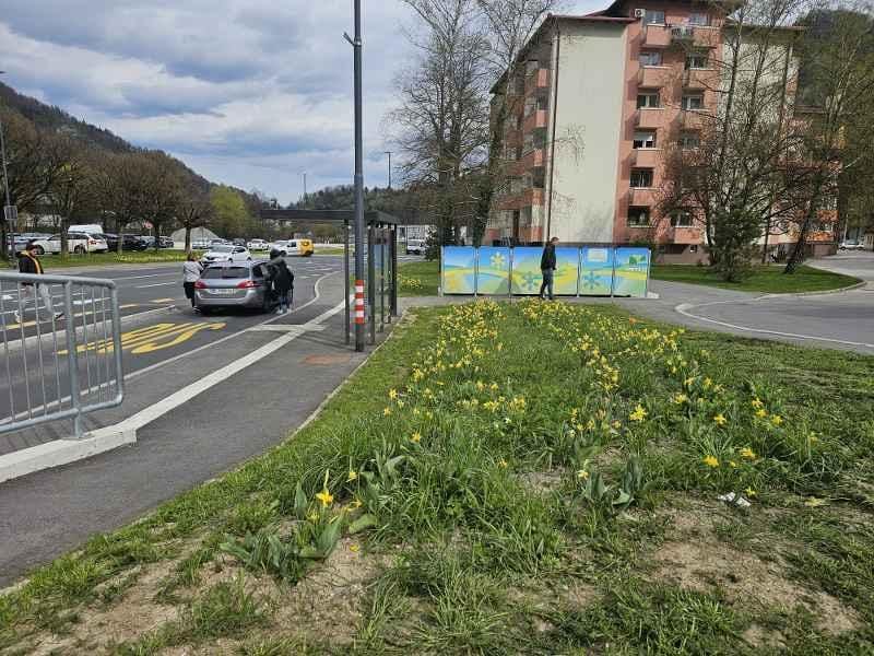 Občina letos vse do maja ne bo kosila javnih površin