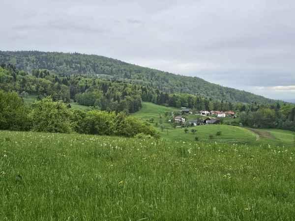 Razvejana občina, konkretna rešitev - razpis za prevoznike
