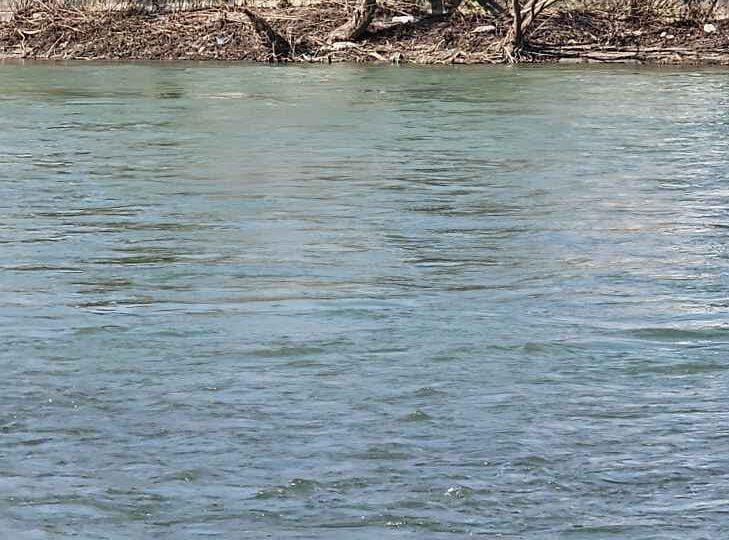 Vozilo je "pogoltnila" Sava - voznik se je še pravočasno rešil