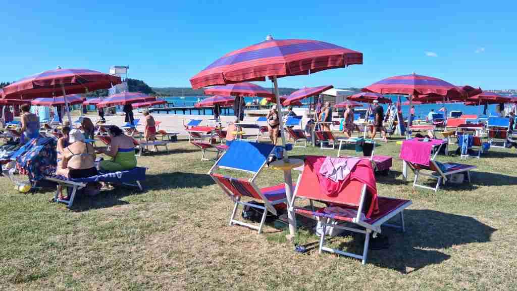 Grela sta jih sonce in človeška toplina [foto]