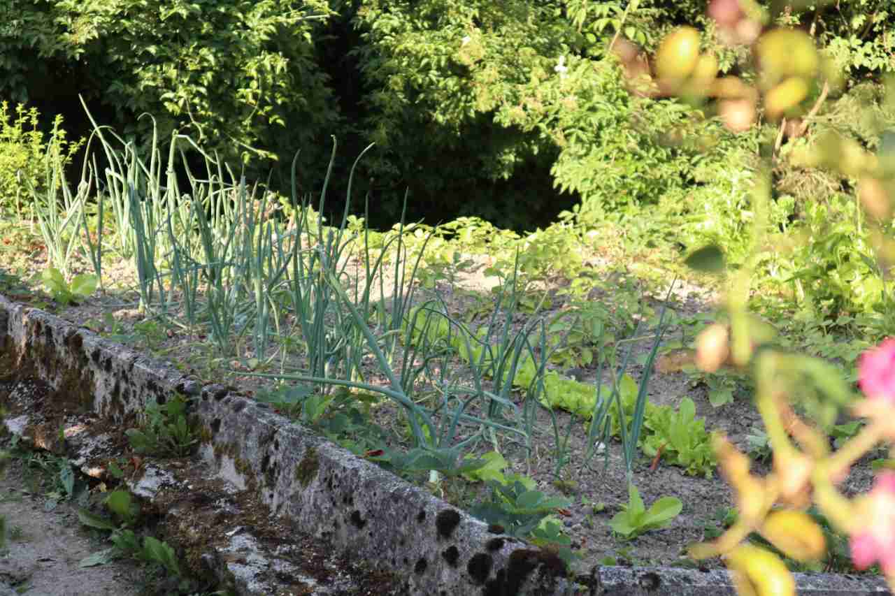Občina bo oddala vrtičke, vendar ne komur koli