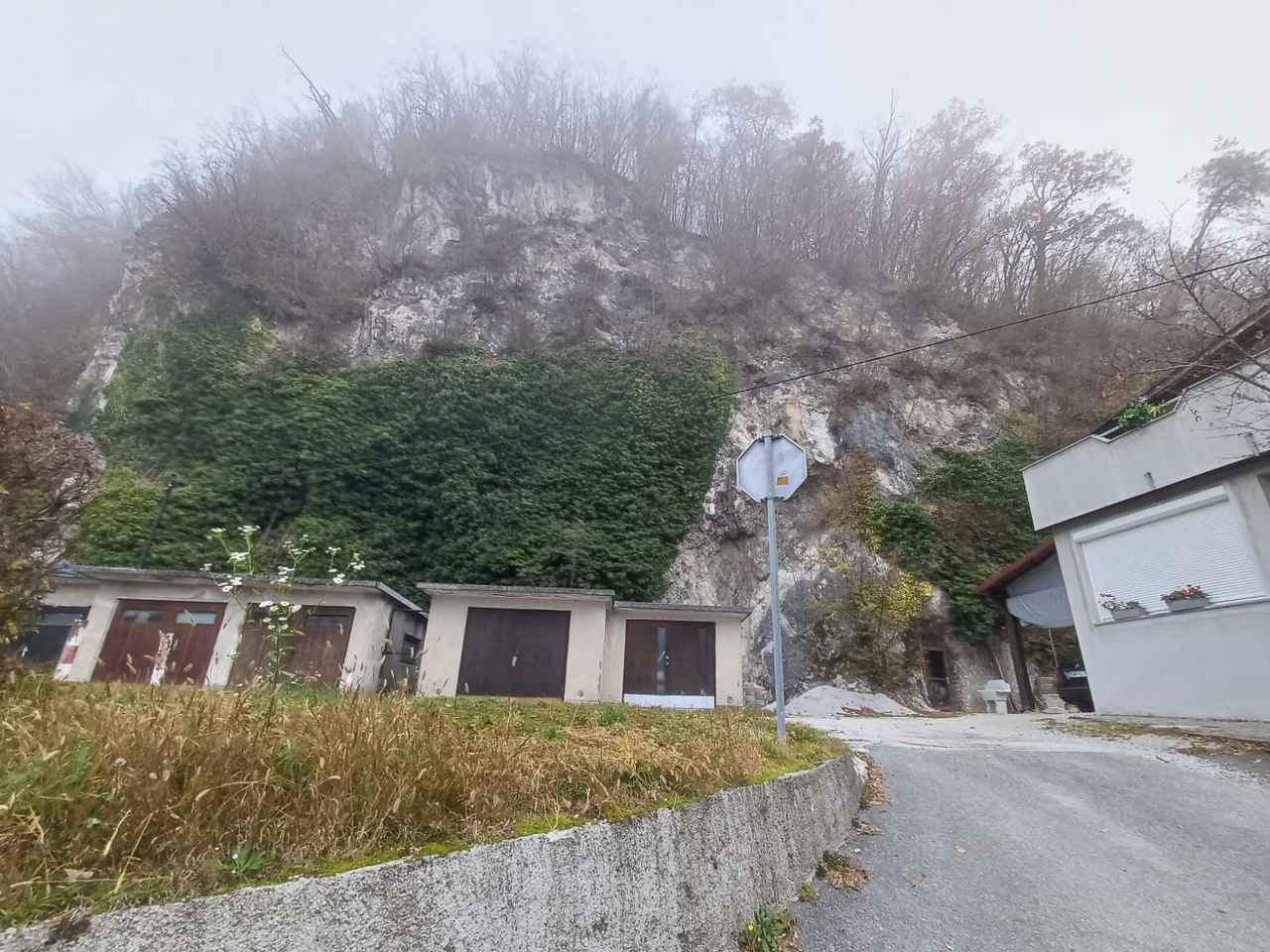 Nevarna drevesa bodo vendarle odstranili