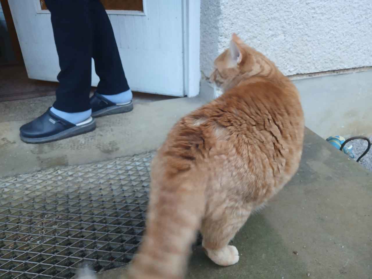 Po izteku pogodbe občina odpira boj za koncesijo