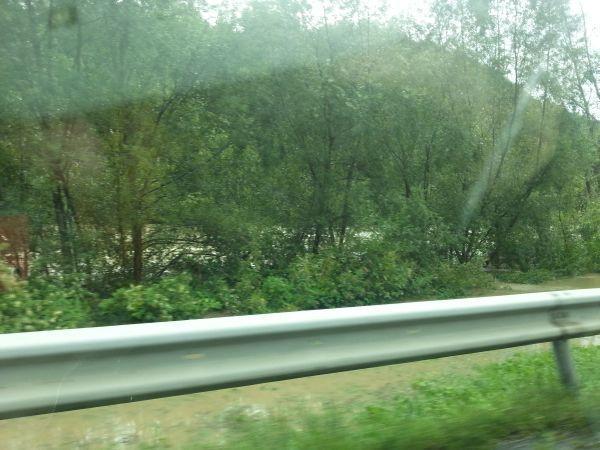 sava1