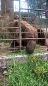 srecanje_invalidov_nanos__8_