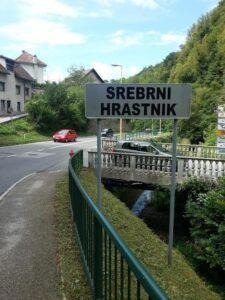 srebrni hrastnik3