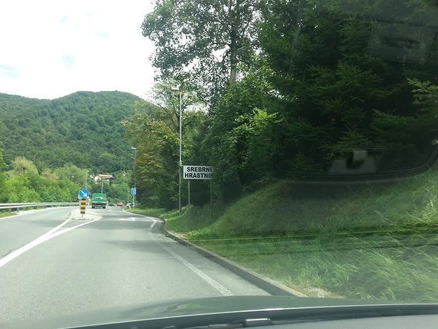 srebrni hrastnik6