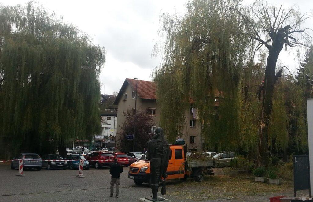 Danes je parkirišče pred DDT in MCT zaprto zaradi obrezovanja drevja, čez nekaj dni pa zaradi prireditve.