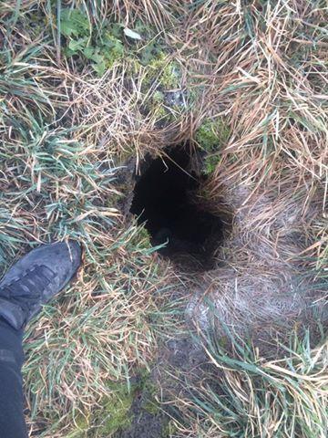 udor-zemlje-v-evroparku