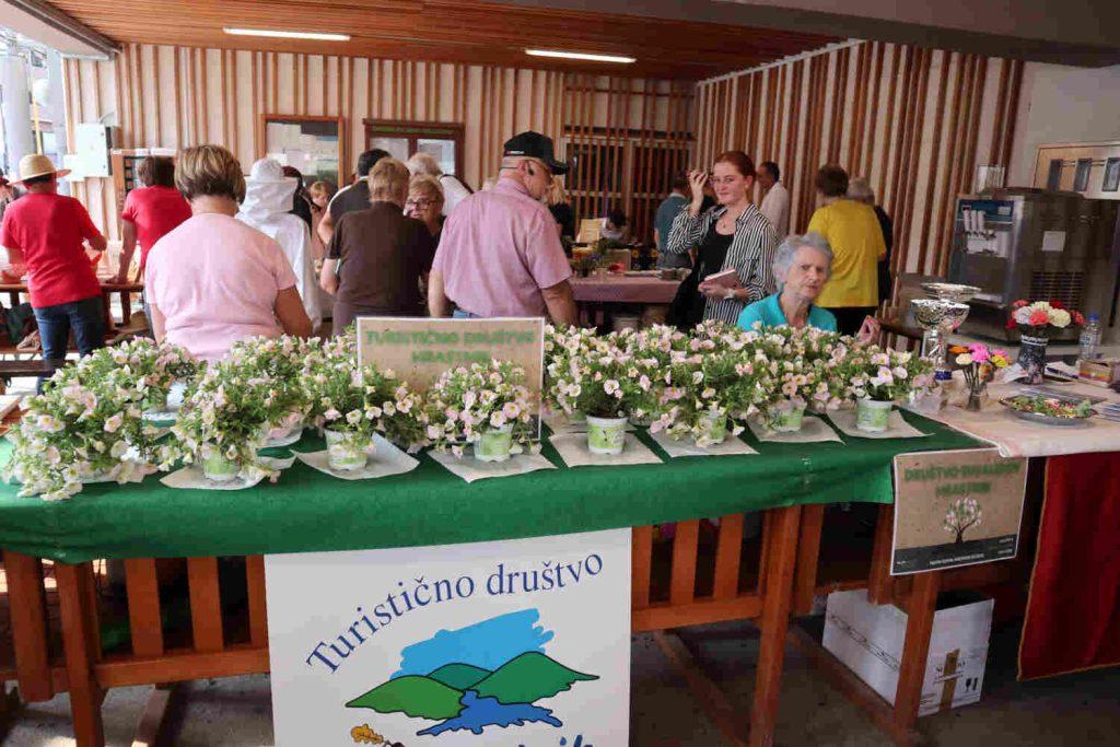 Poletni festival knjižnice Hrastnik 